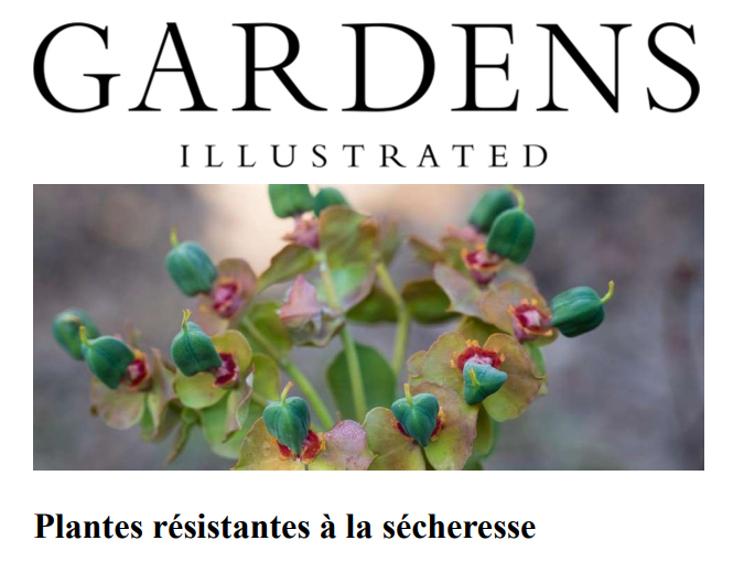 Gardens Illustrated