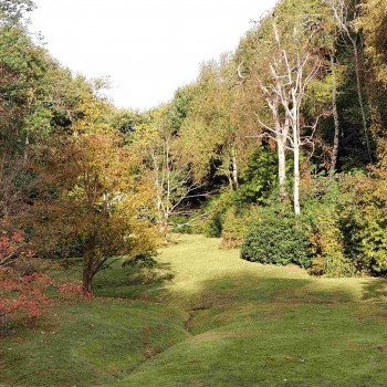 Varengeville - Le Bois de Morville