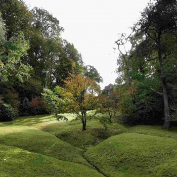 Le Bois de Morville