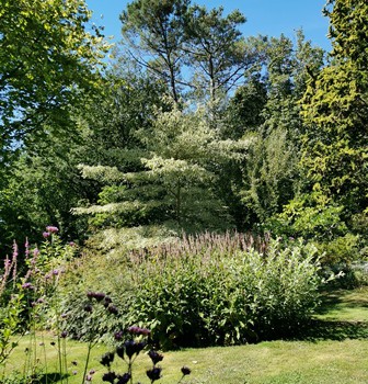 Le Vasterival Sainte-Marguerite -sur-Mer