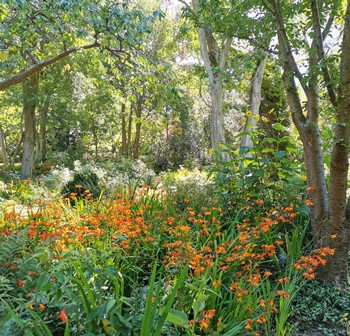 Le jardin de Vasterival